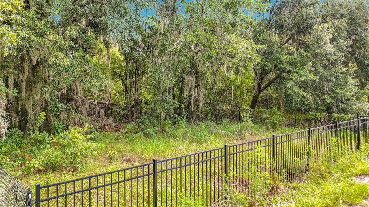10623 Lithia Estates Drive, Lithia, FL 33547 Photo
