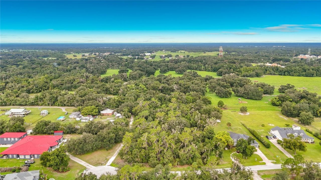 10623 Lithia Estates Drive, Lithia, FL 33547 Photo