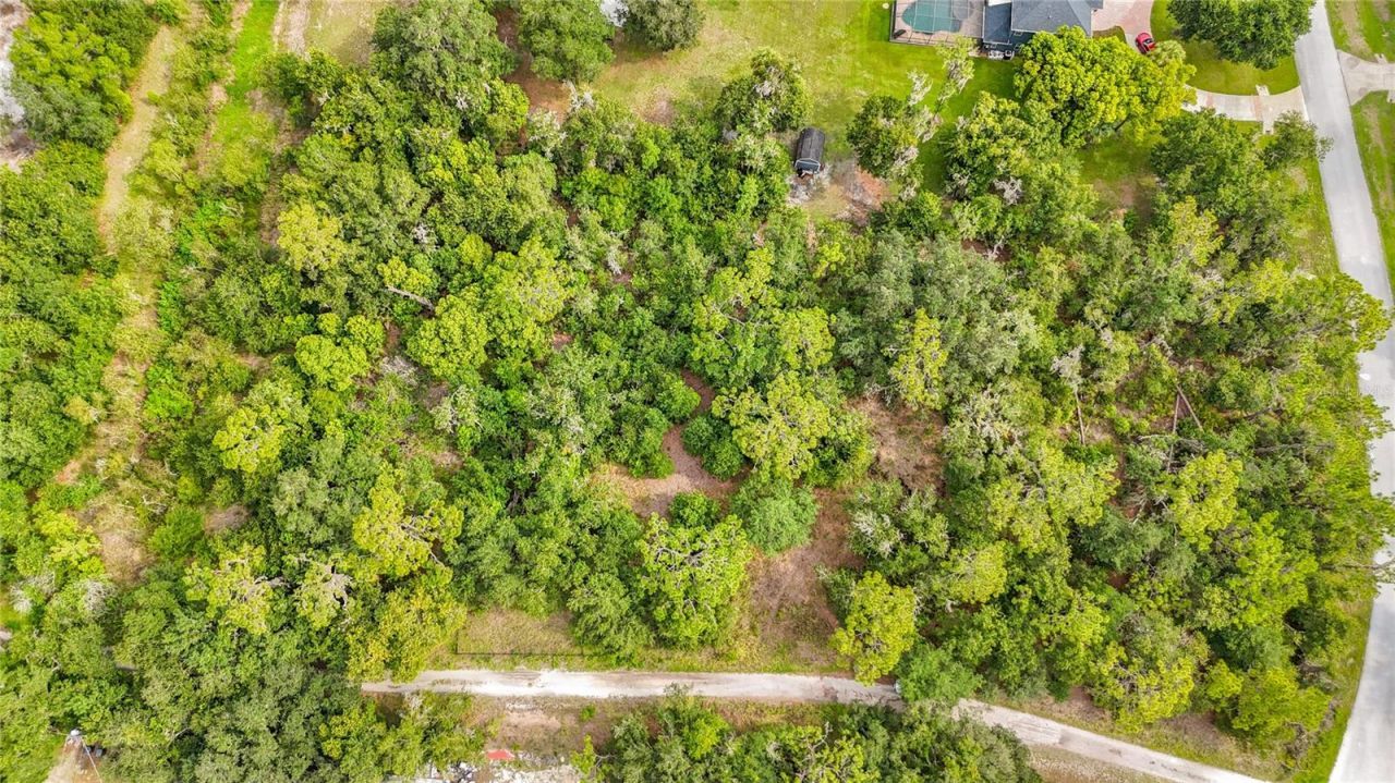10623 Lithia Estates Drive, Lithia, FL 33547 Photo