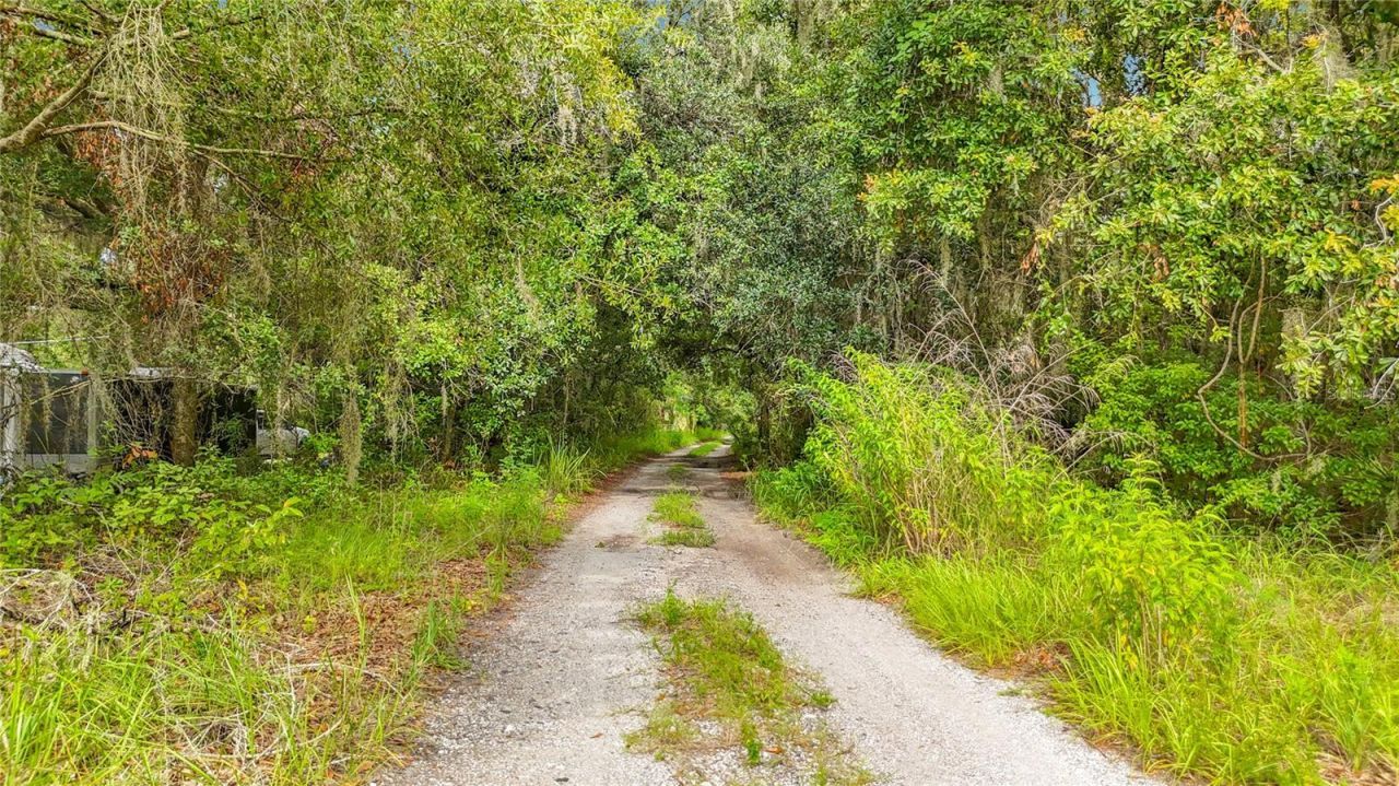 10623 Lithia Estates Drive, Lithia, FL 33547 Photo