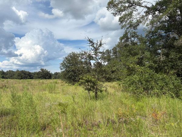 TBD SW SABRE AVE., Lake City, FL 32024