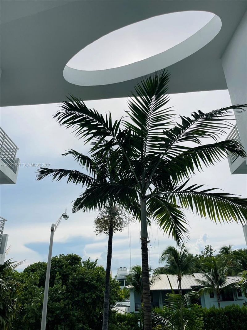 7800 Collins Ave, Unit 309, Miami Beach, FL 33141 Photo