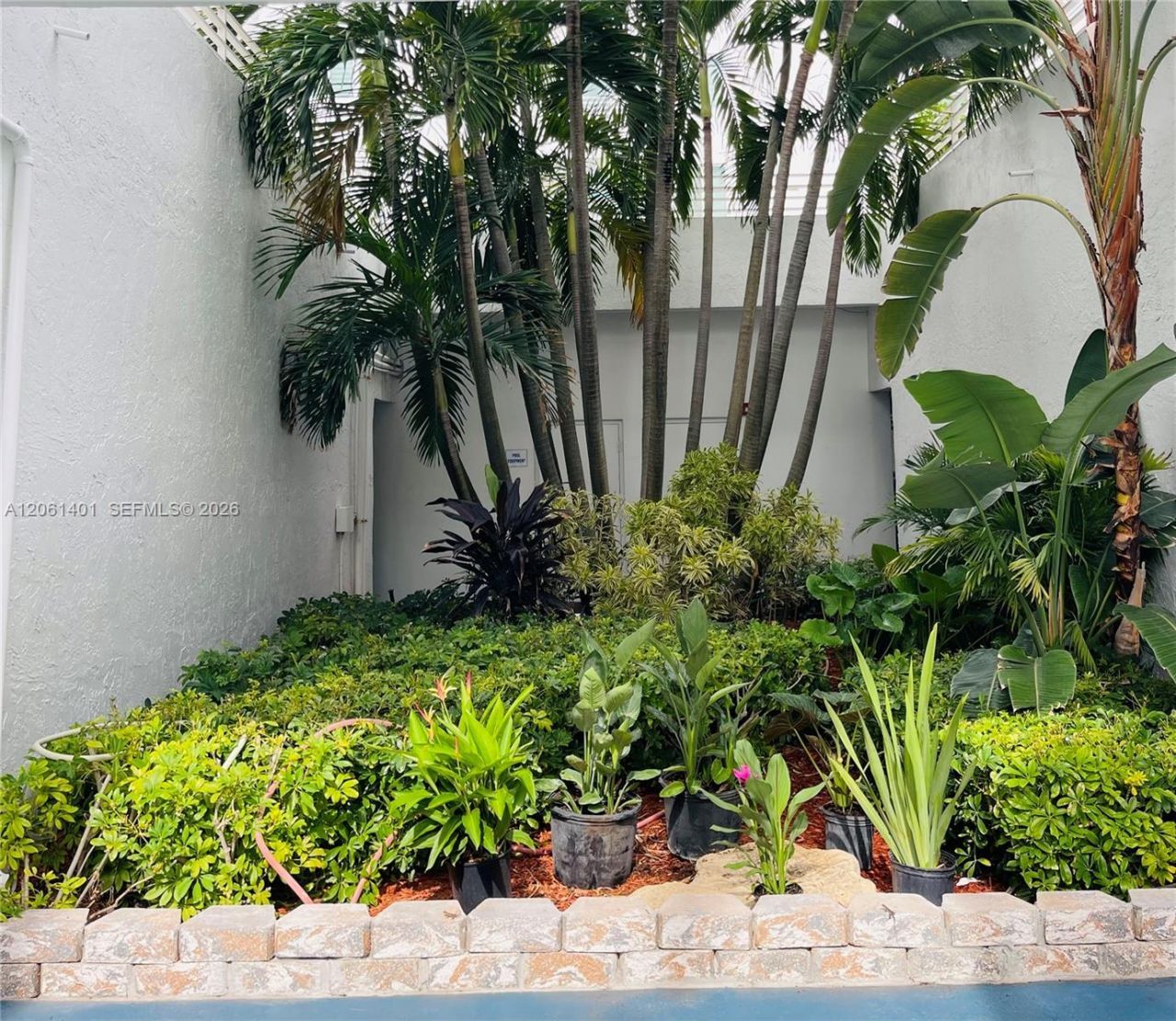 7800 Collins Ave, Unit 309, Miami Beach, FL 33141 Photo