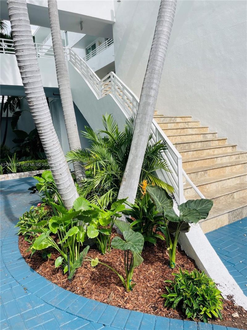 7800 Collins Ave, Unit 309, Miami Beach, FL 33141 Photo