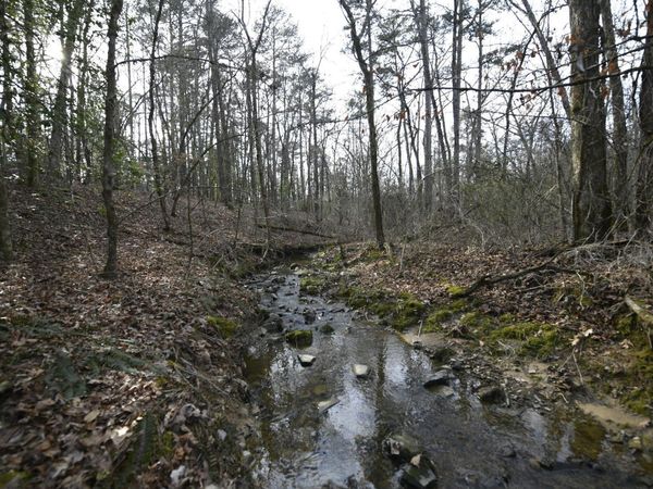 TBD Polk Road 95 , Mena, AR 71953