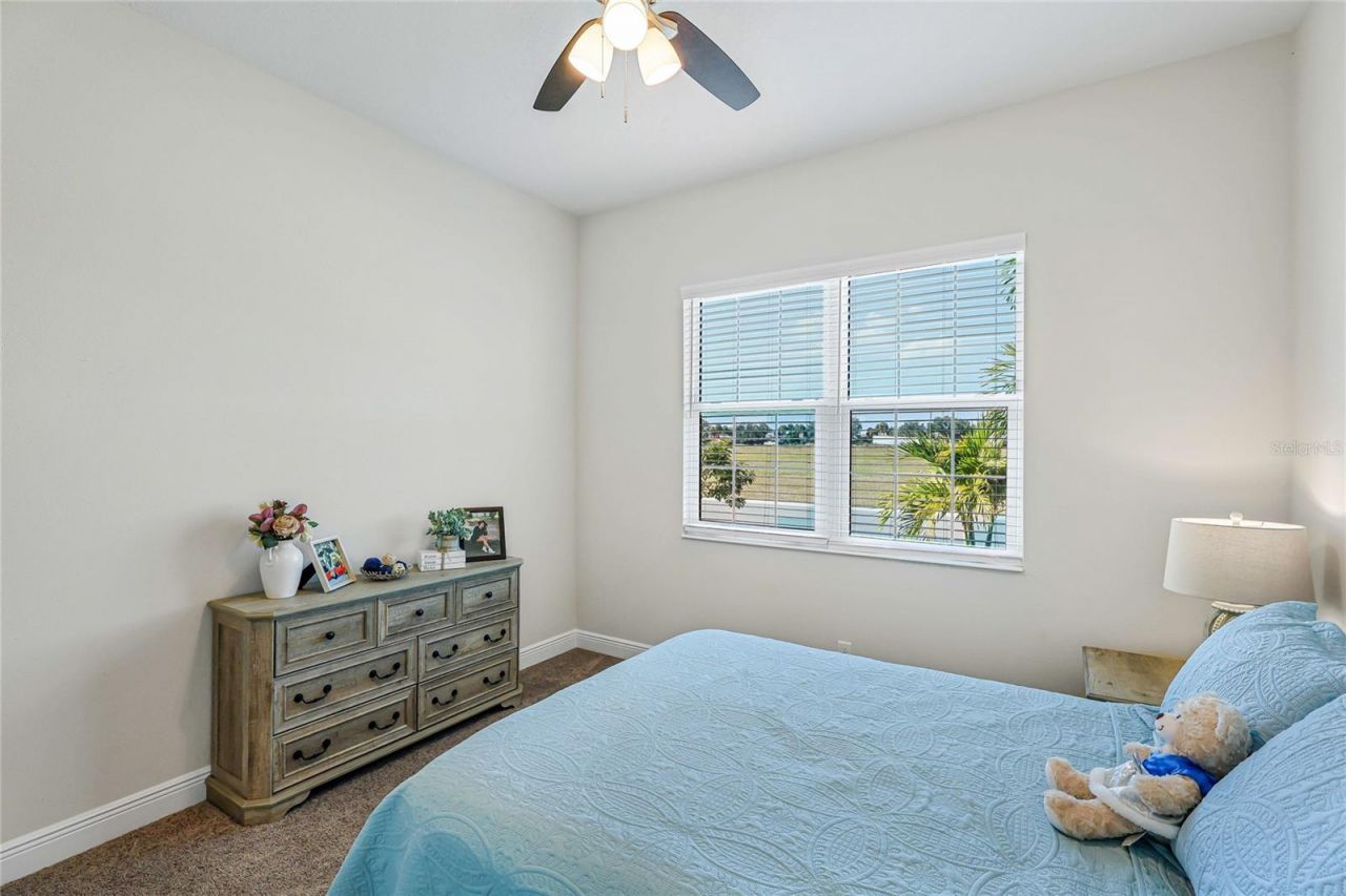 4316 Sea Marsh Place, Parrish, FL 34219 Photo