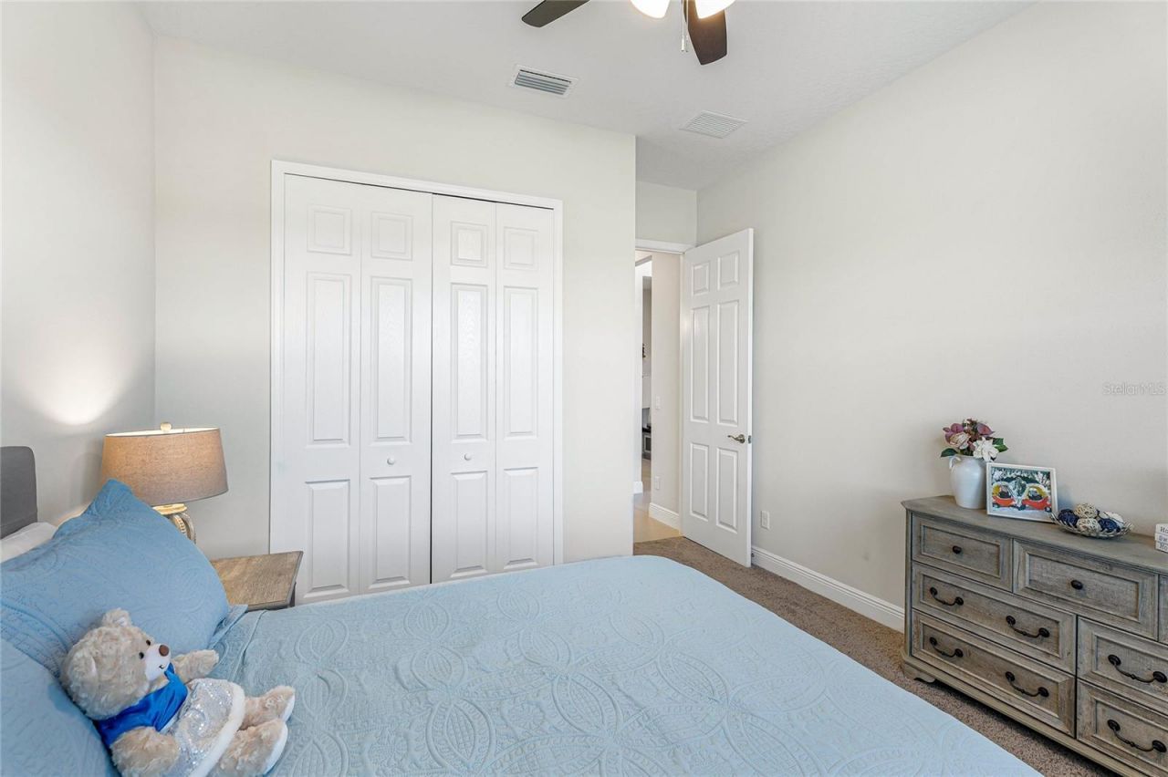 4316 Sea Marsh Place, Parrish, FL 34219 Photo