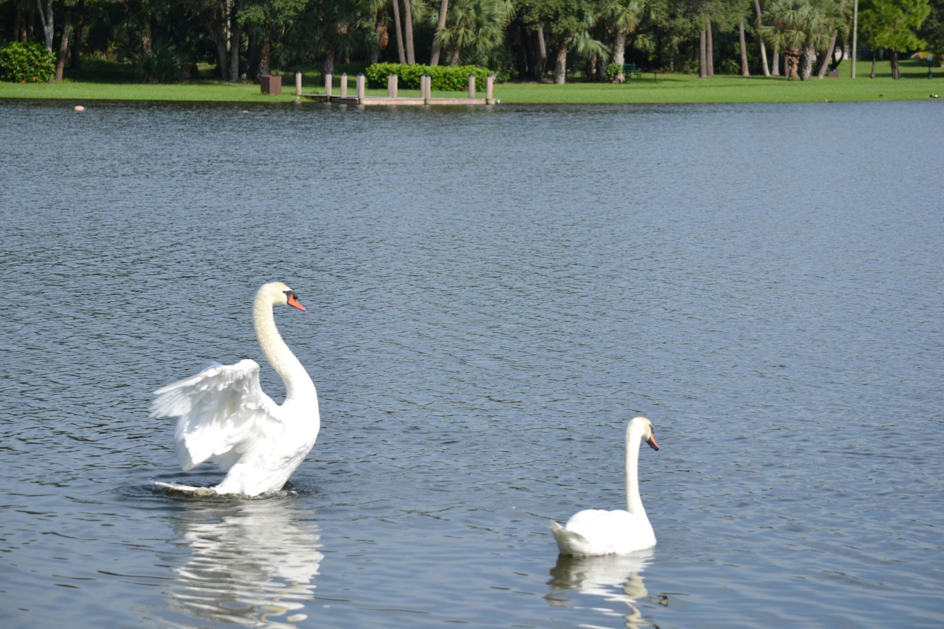3130 Kingswood Terrace, Boca Raton, FL 33431 Photo