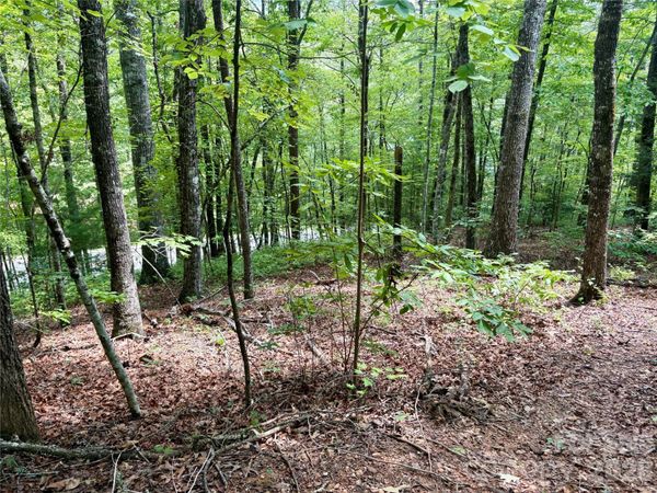 0 Watia Road, Bryson City, NC 28713