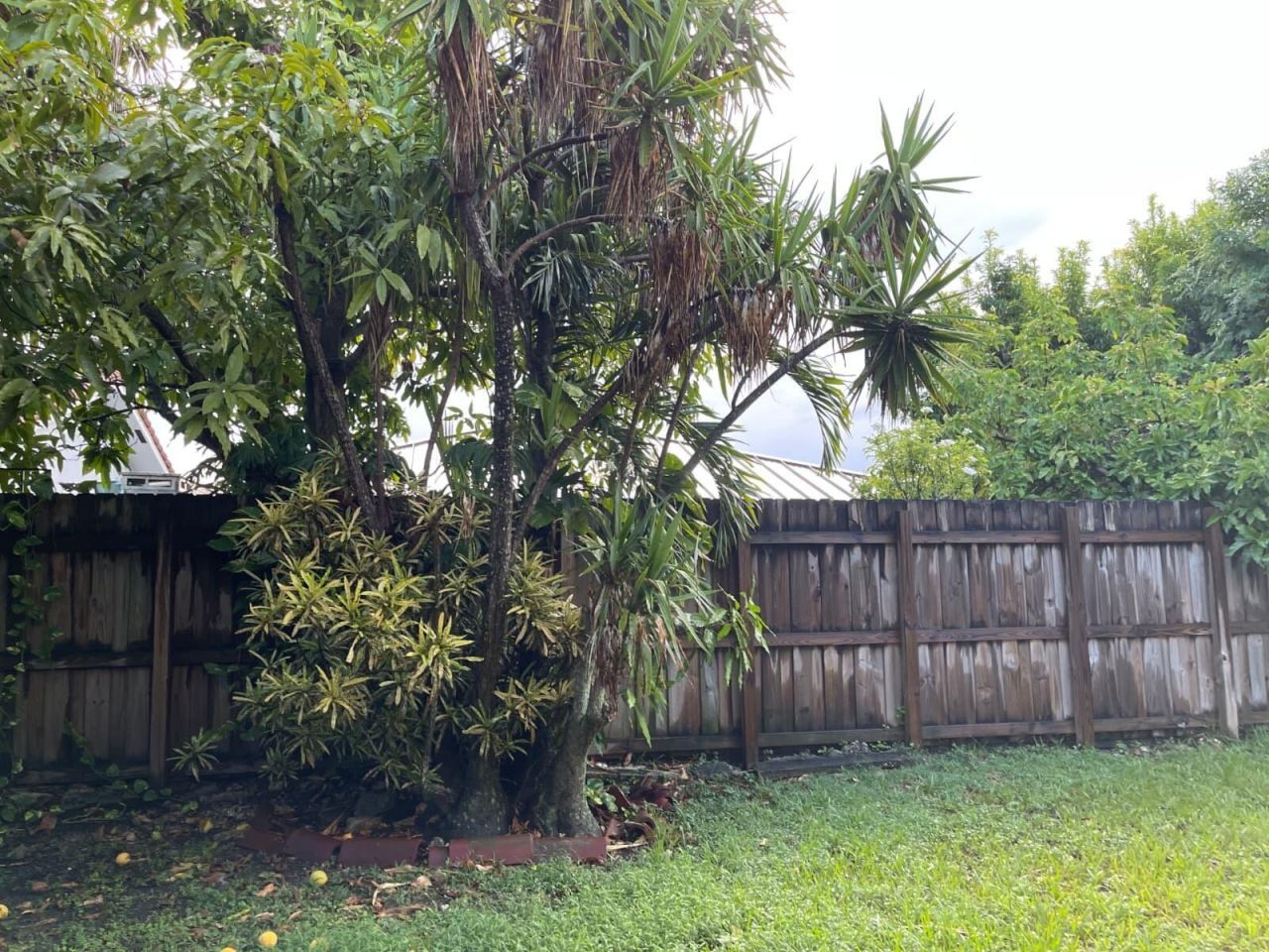 4874 SW 142nd Place, Miami, FL 33175 Photo