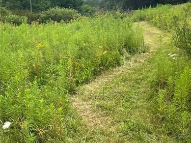 State Highway 28, Delhi, NY 13753