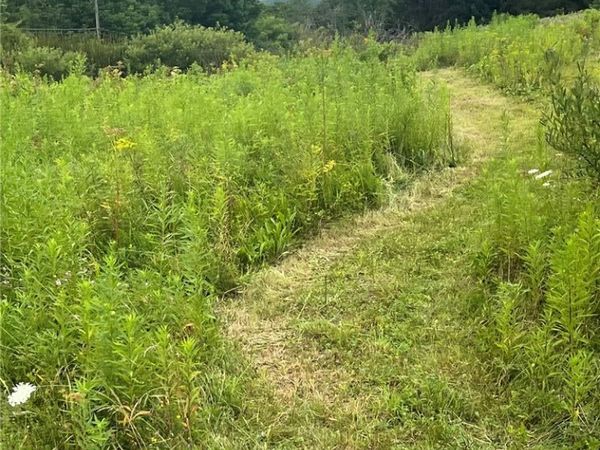 State Hwy 28, Delhi, NY 13753