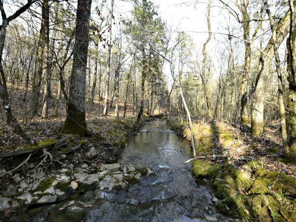TBD Polk Road 95 , Mena, AR 71953