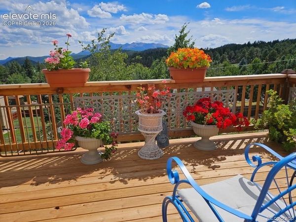 219 Dewell Road, Woodland Park, CO 80863
