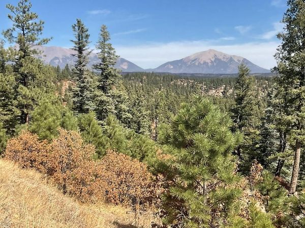160 Acres San Pablo Canyon Rd, Weston, CO 81091