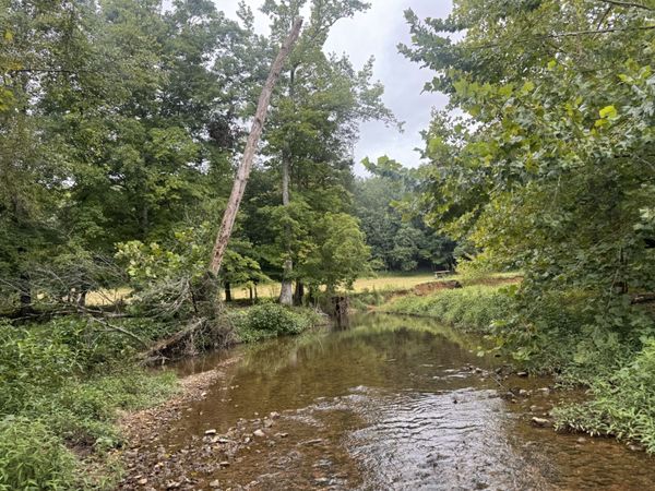0 Upper Standing Rock Rd , Dover, TN 37058