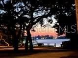 1901 Upper Cove Terrace, Sarasota, FL 34231 Photo