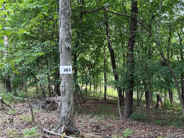 #305 Madison 410 , Fredericktown, MO 63645