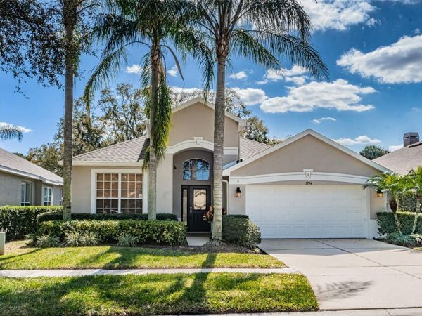 3254 STONEBRIDGE TRAIL, VALRICO, FL 33596