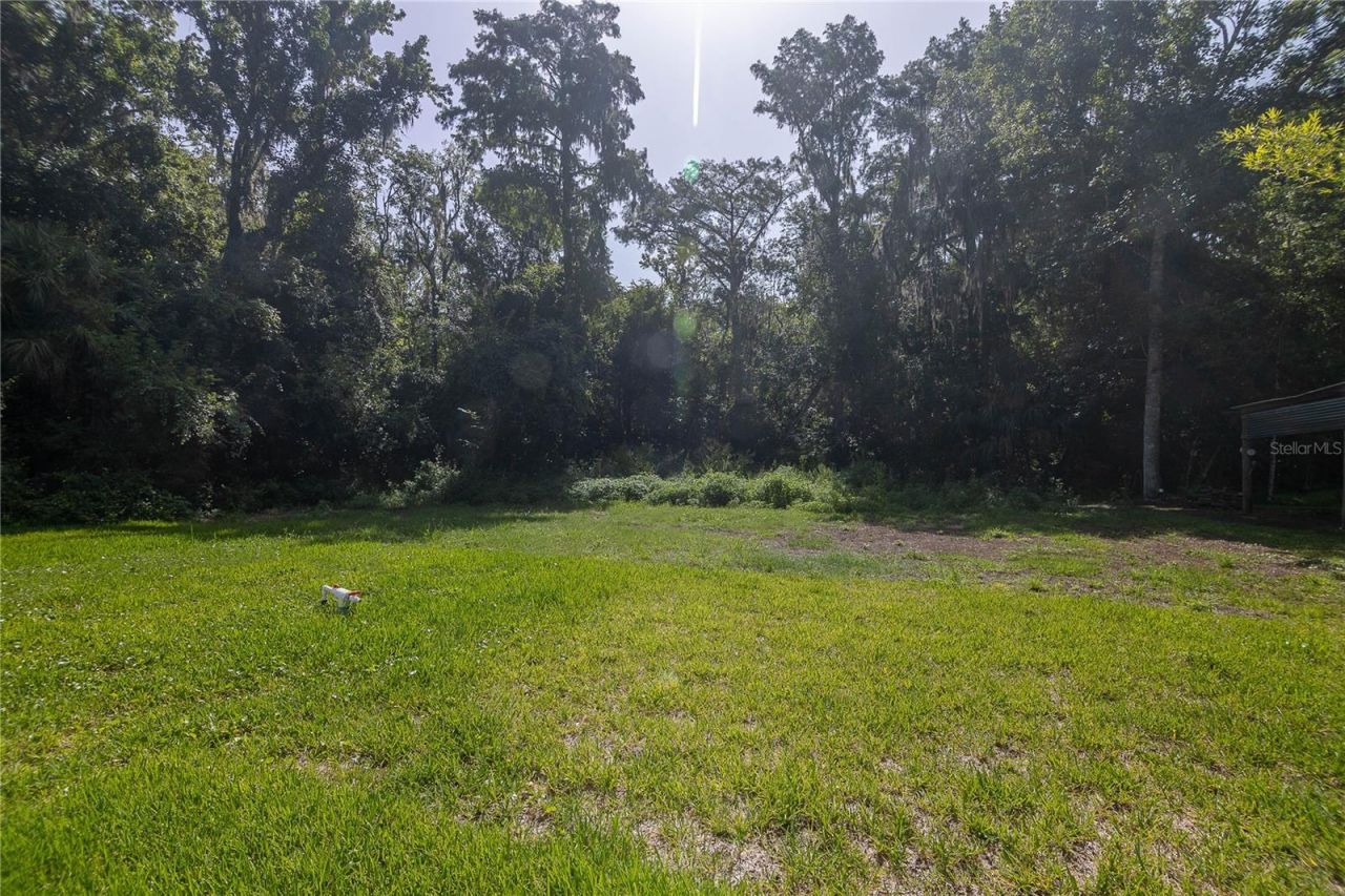 102 Orange Tree Road, East Palatka, FL 32131 Photo