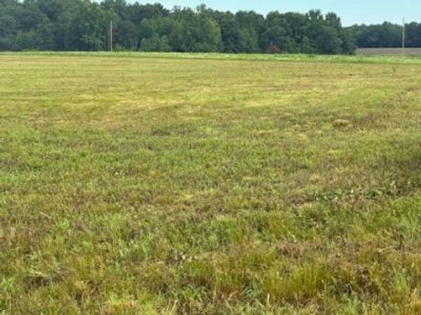 0 Rushing Road , Ethridge, TN 38456