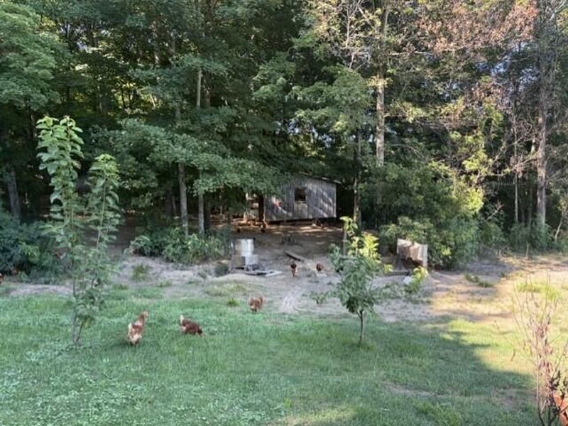293 Township Road 181 SW, Junction City, OH 43748 Photo 20