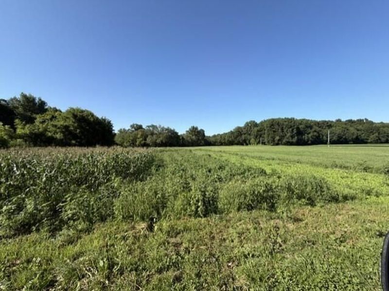293 Township Road 181 SW, Junction City, OH 43748 Photo 23