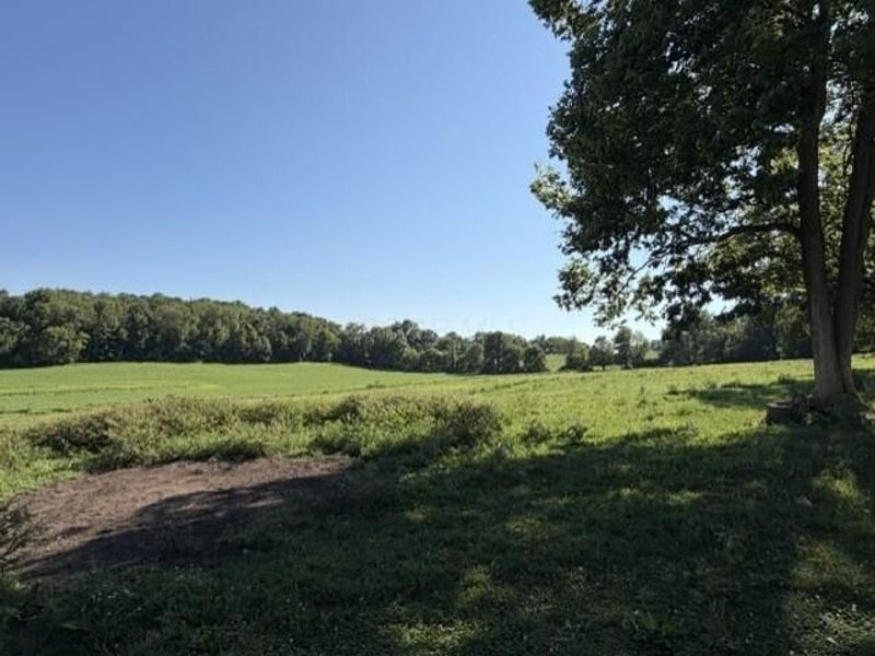 293 Township Road 181 SW, Junction City, OH 43748 Photo 25