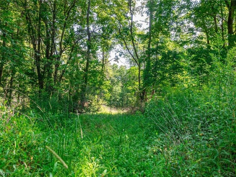 Lincoln Street, Salineville, OH 43945 Photo 15