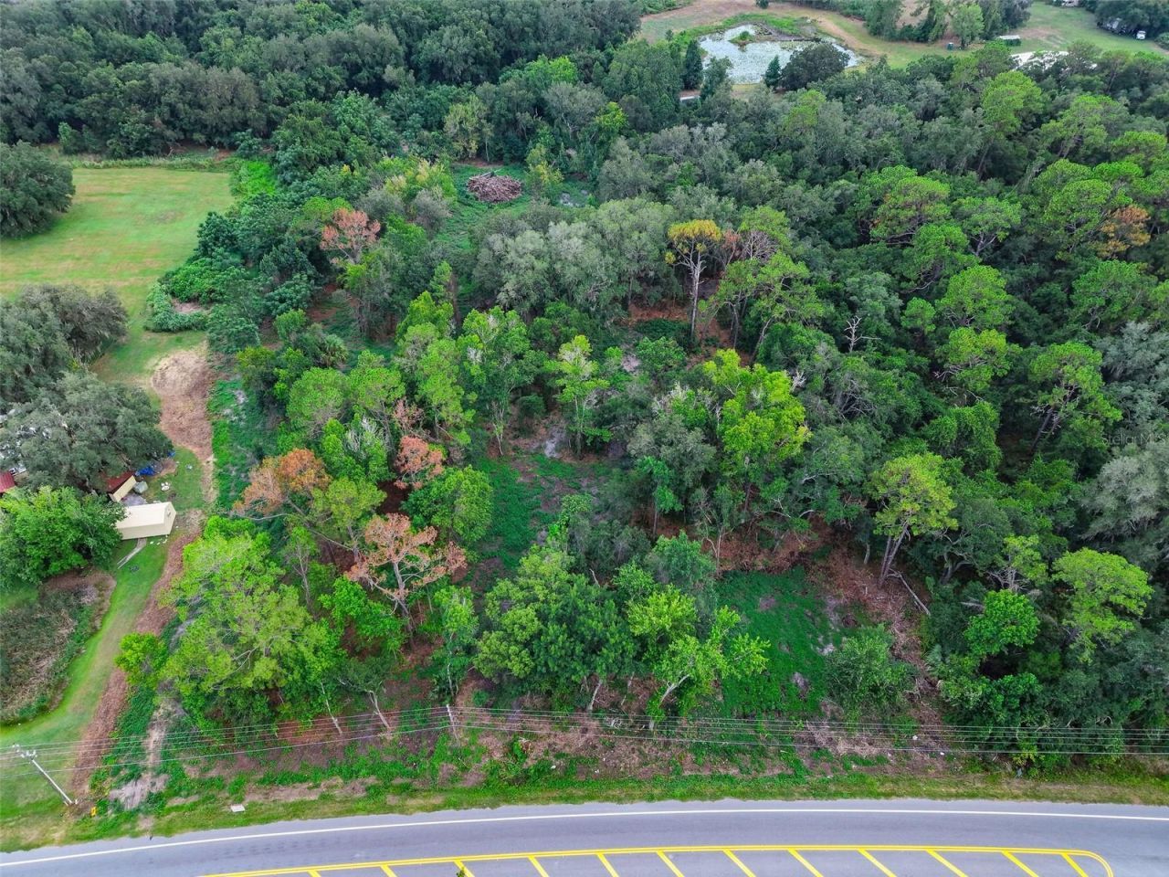 County Road 48, Yalaha, FL 34797 Photo