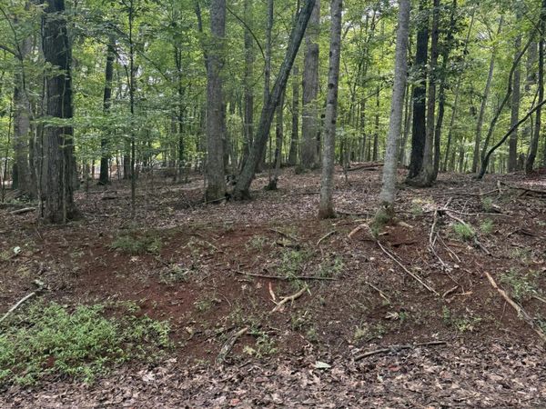Lot 4 Charmwood Cir CIR , Moneta, VA 24121