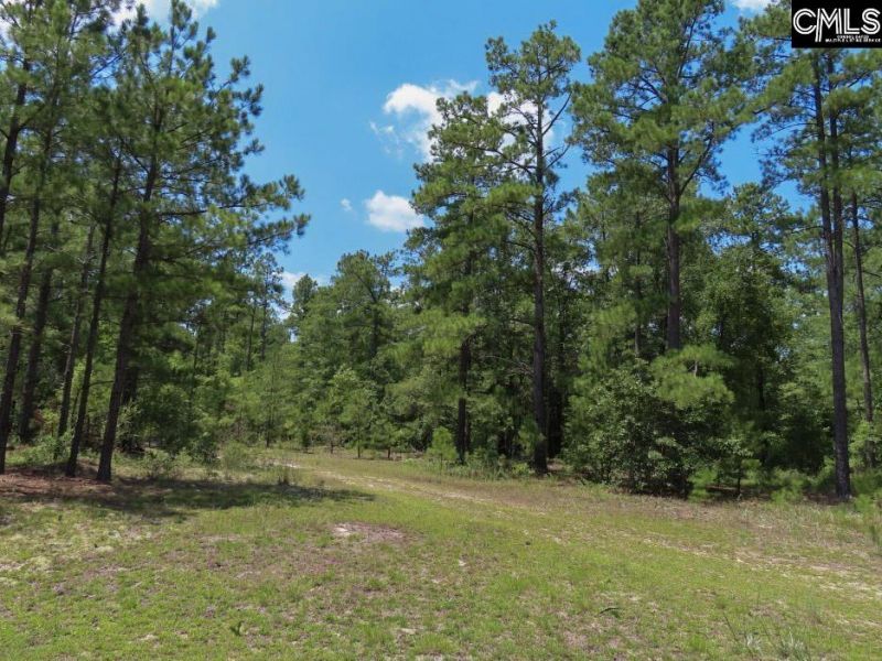 3915 Old Georgetown Road W Photo 21
