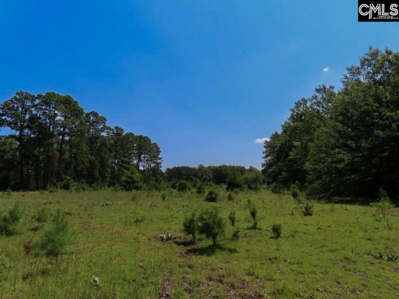 3915 Old Georgetown Road W Photo 4