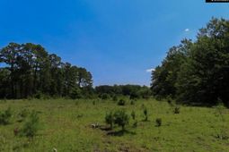 3915 Old Georgetown Road W photo 4
