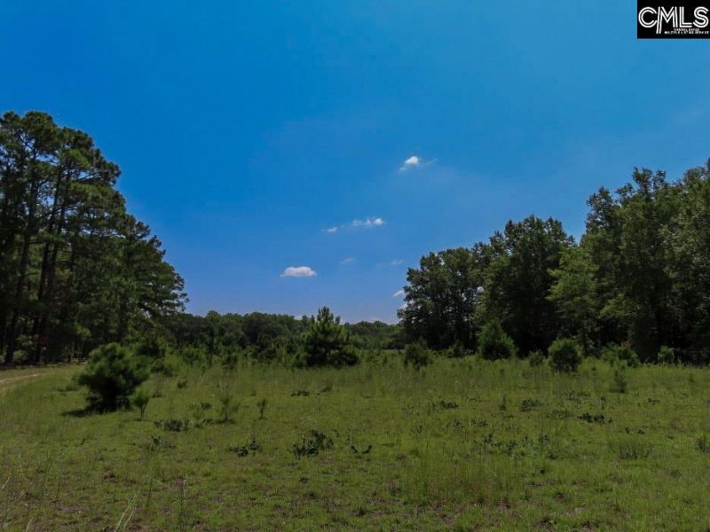 3915 Old Georgetown Road W Photo 9