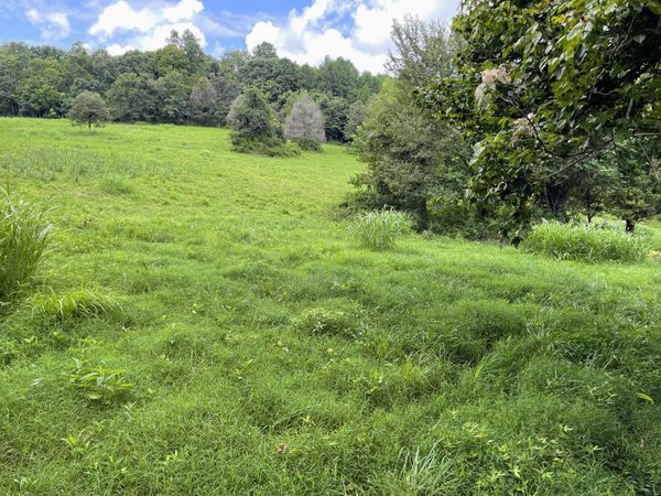 6461 Hwy 48 N , Unit Lot 1, Cumberland Furnace, TN 37051