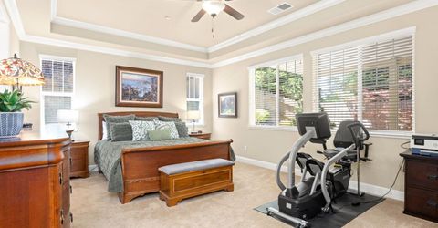 706 Mousebird Ct, Lincoln, CA 95648 Photo