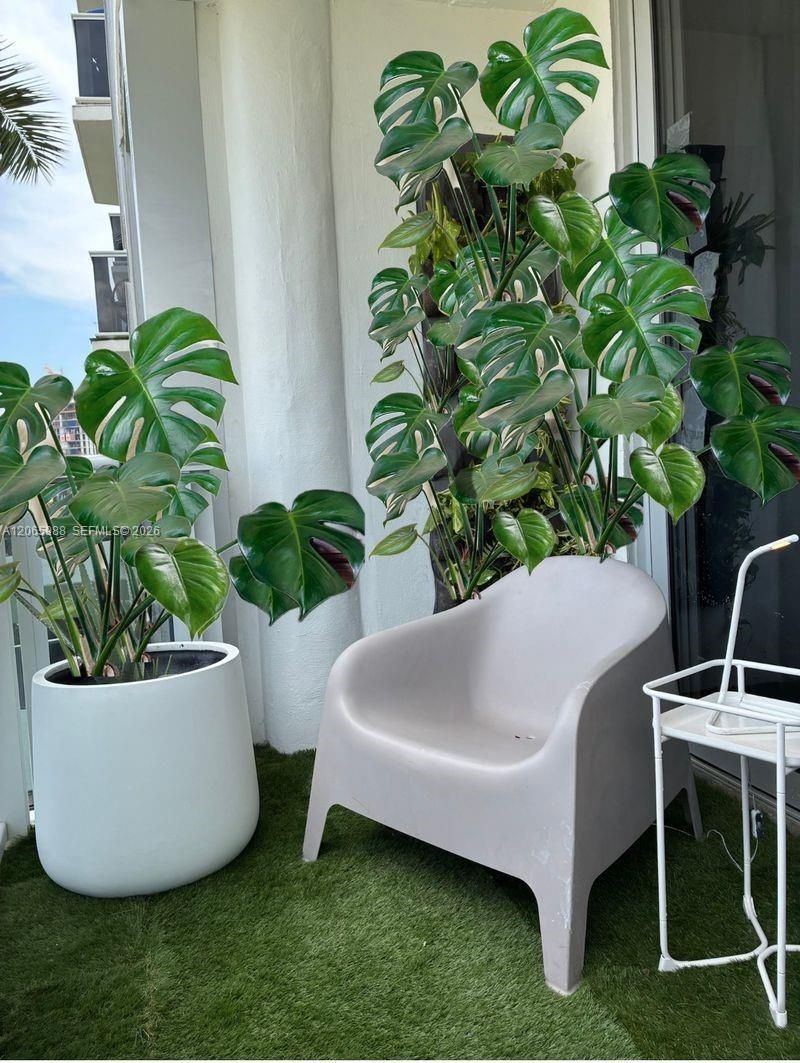 900 Bay Dr, Unit 207, Miami Beach, FL 33141 Photo