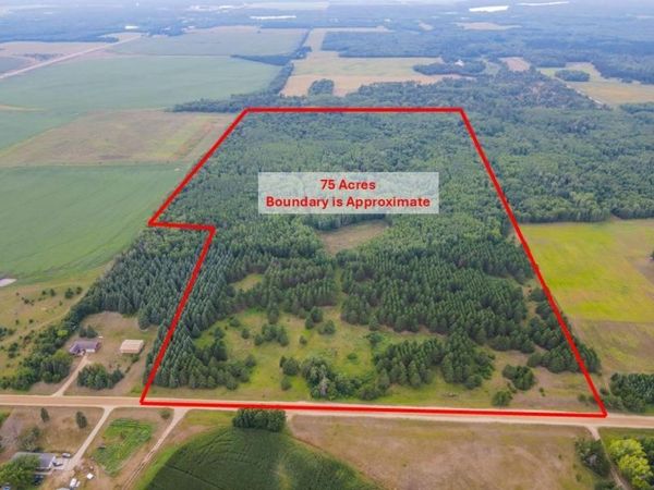 TBD County Road 125 , Park Rapids, MN 56470