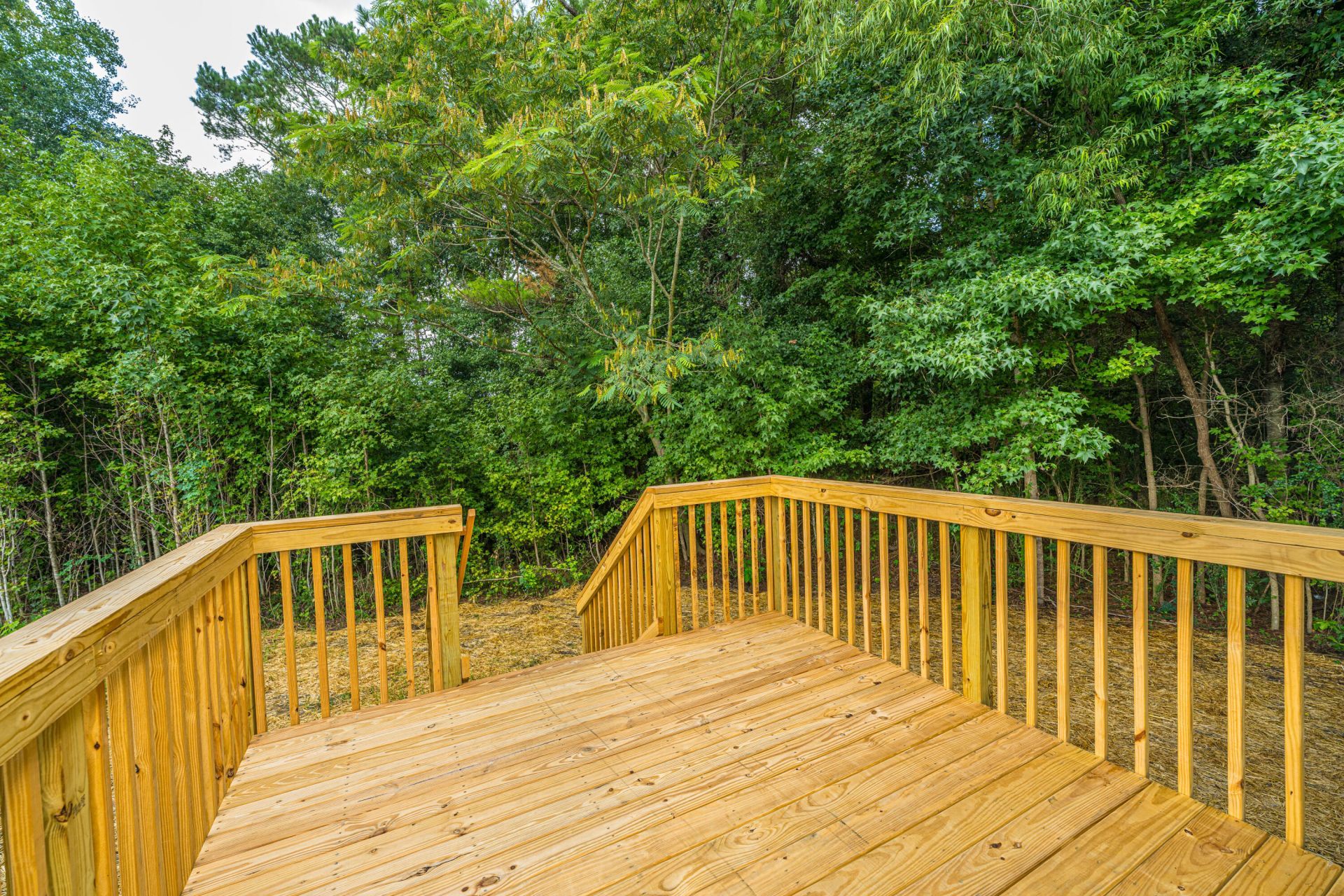 118 Orchid Loop Photo 66