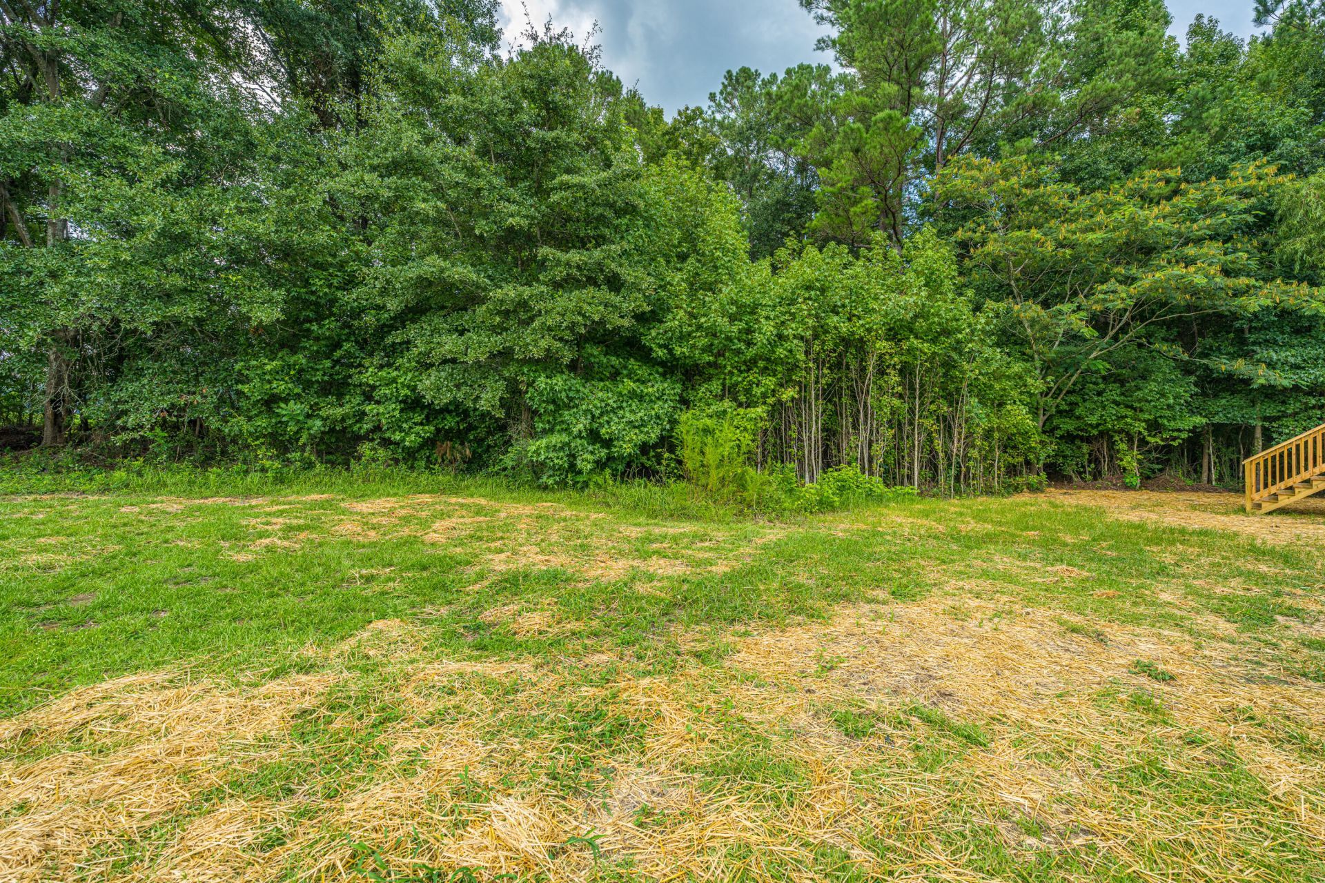 118 Orchid Loop Photo 7