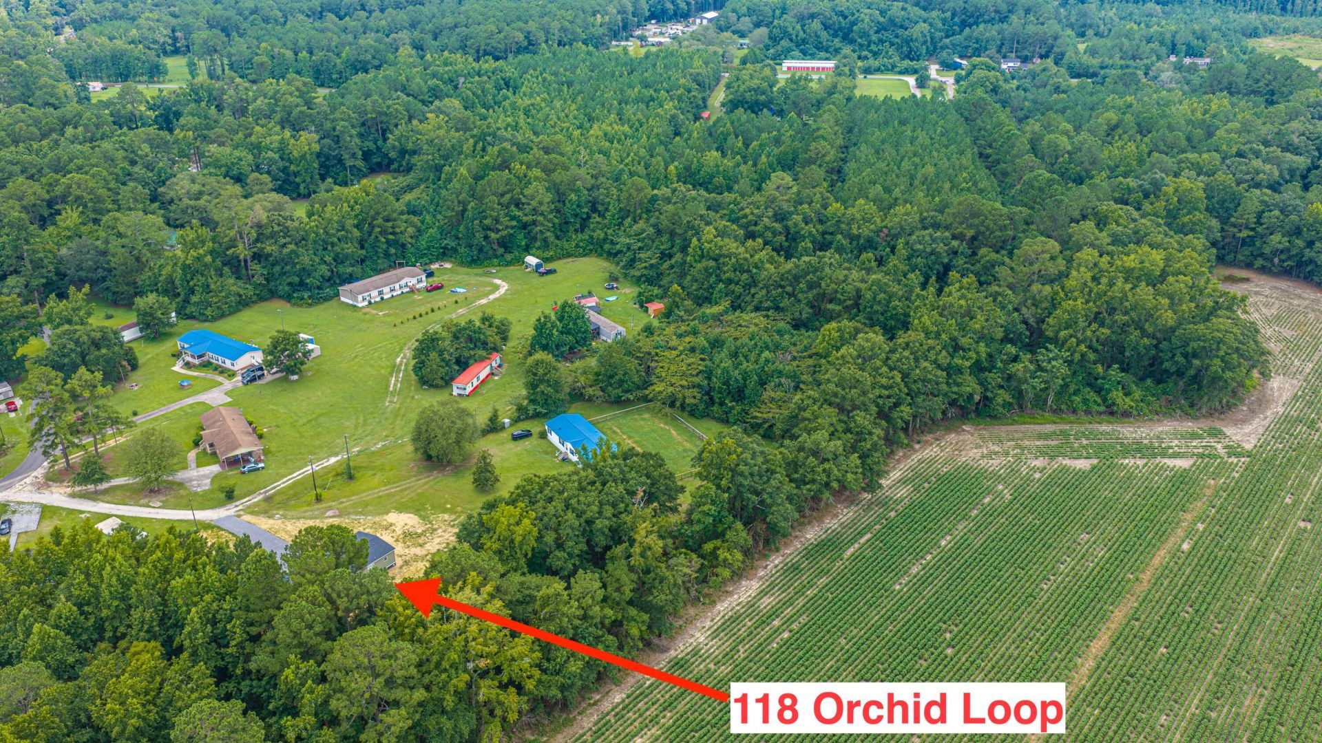 118 Orchid Loop Photo 86