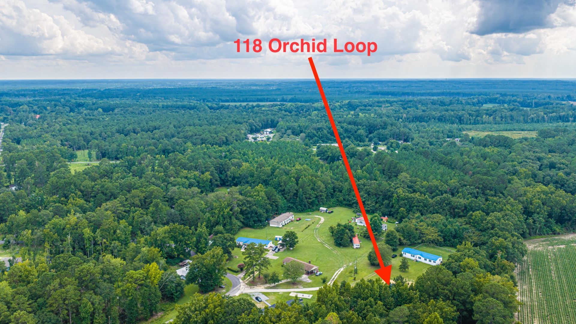 118 Orchid Loop Photo 88