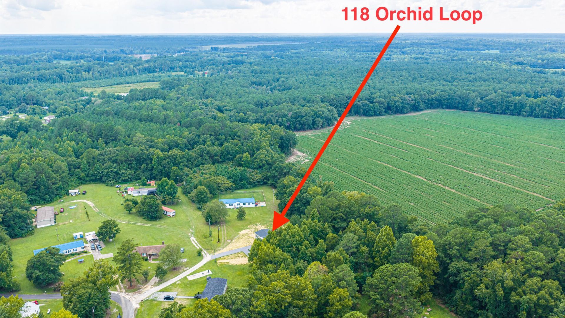 118 Orchid Loop Photo 90