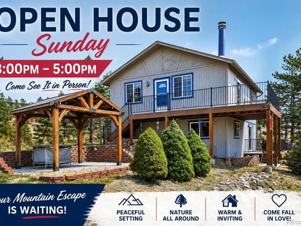 461 Yellow Pine Drive, Bailey, CO 80421