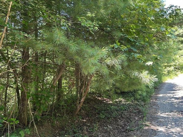 3960 Winston Drive , Morganton, NC 28655