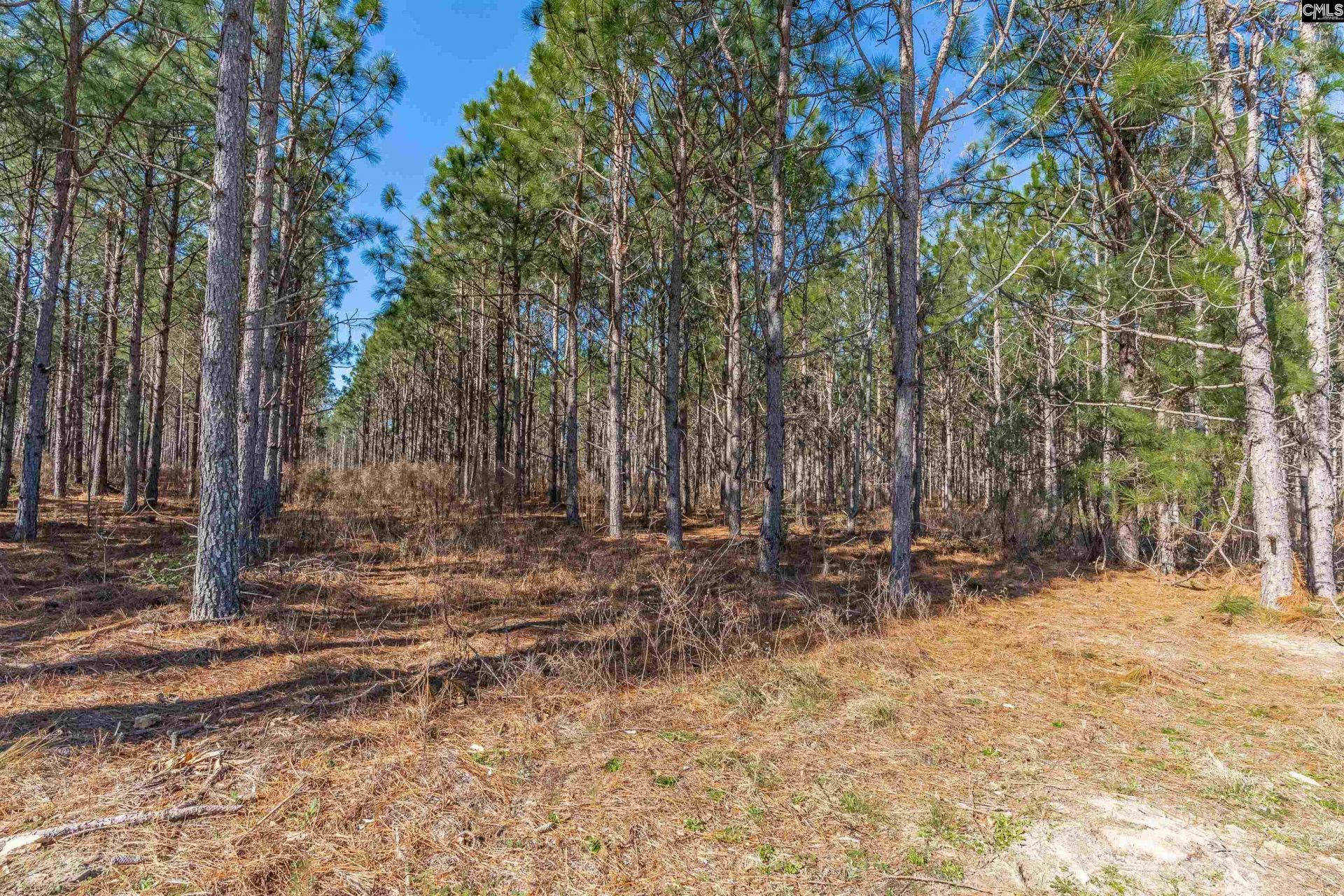 Lot #7 Fairview Road Photo 4