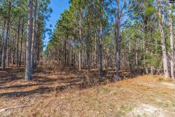 Lot #7 Fairview Road photo 4