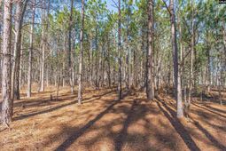 Lot #7 Fairview Road photo 4