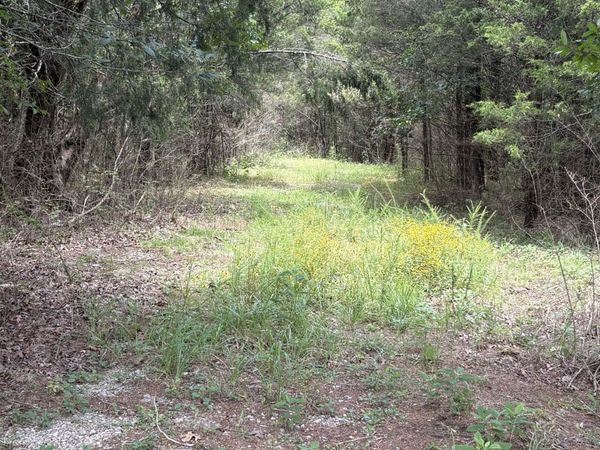 0 John Lunn Rd , Lewisburg, TN 37091